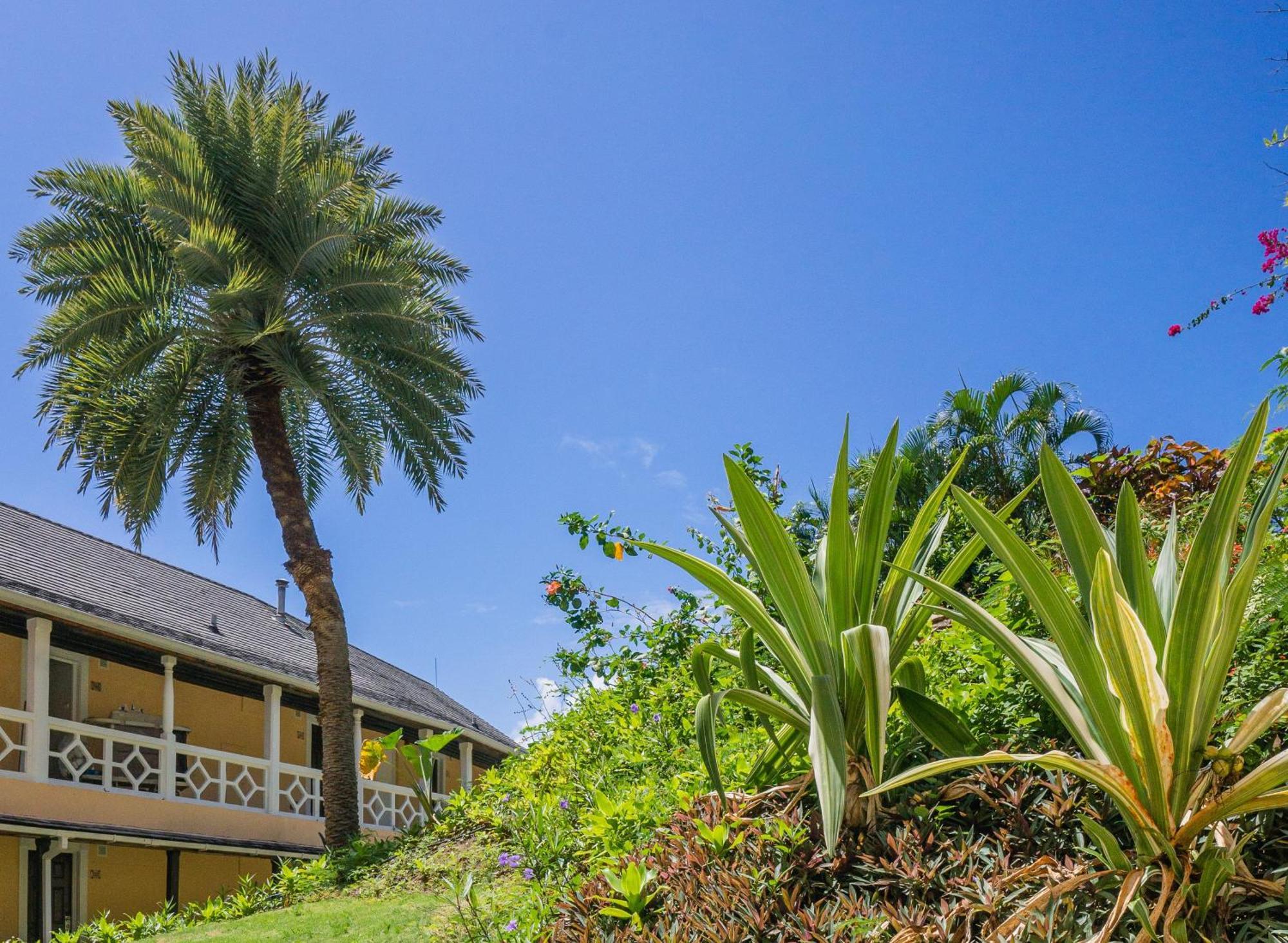 Bodyholiday St Lucia Gros Islet Esterno foto